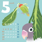 ５月